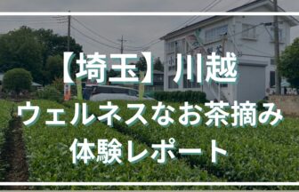 【埼玉】都心から1時間！初夏の川越でウェルネスなお茶摘み体験レポート